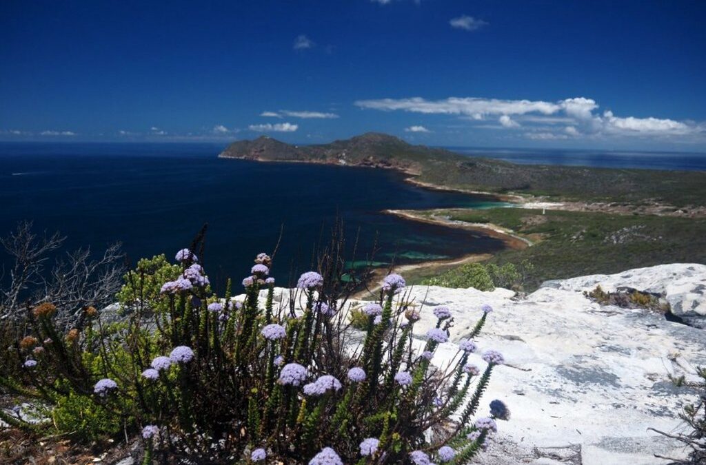 CAPE POINT – KANONKOP FROM ROOIKRANS