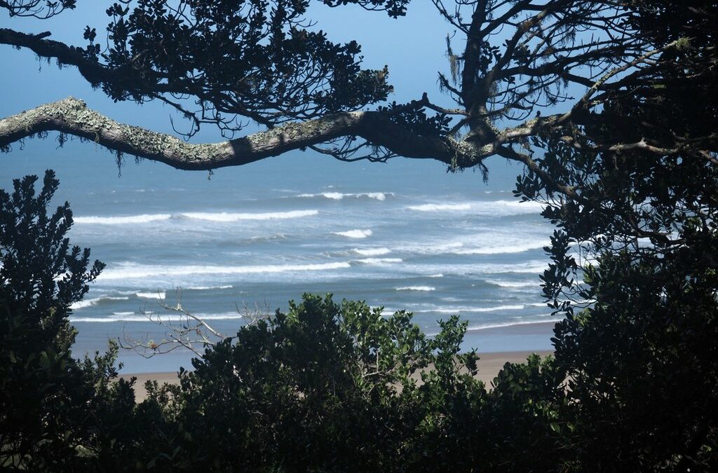Wild Coast Meander 24-29 March ’24